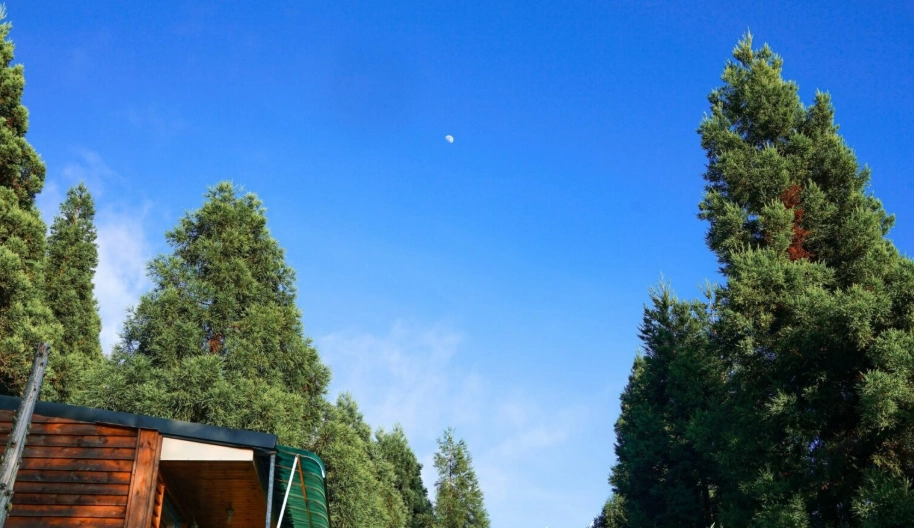 拉拉山住宿