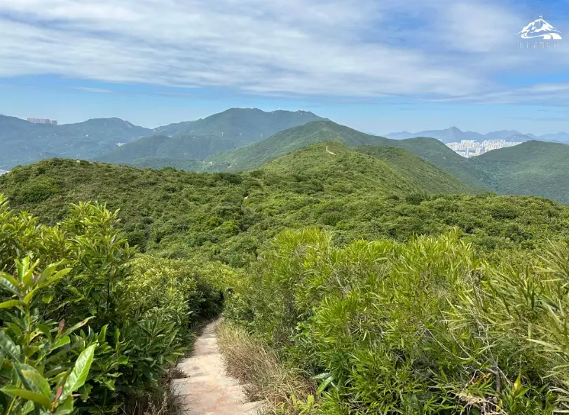 龍脊行山路線