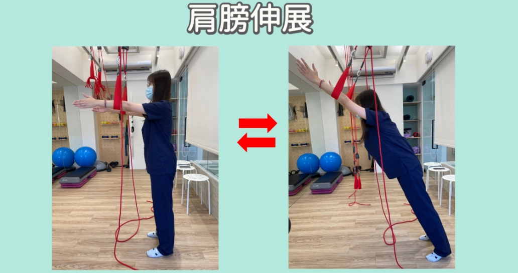 胸椎活動度