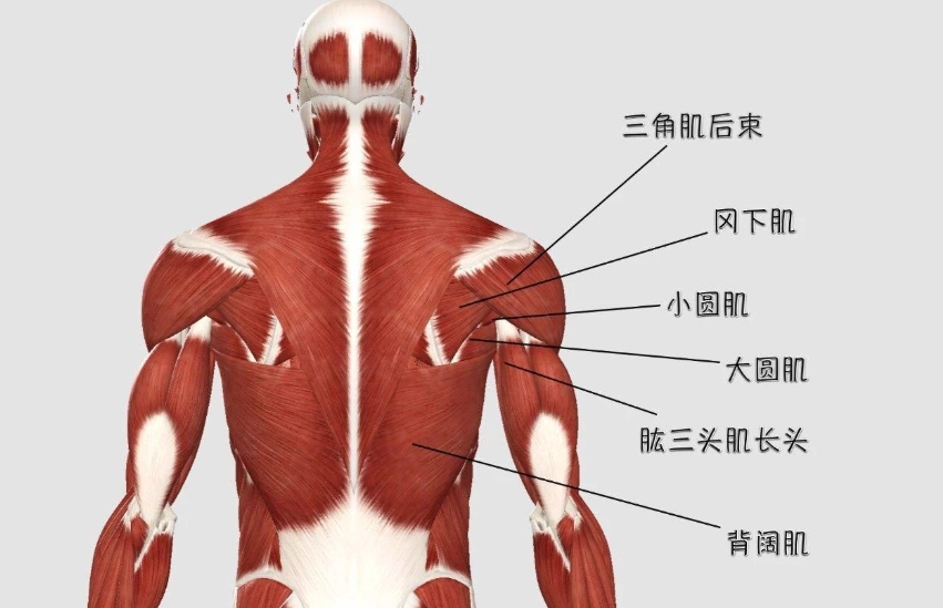 下背緊繃放鬆