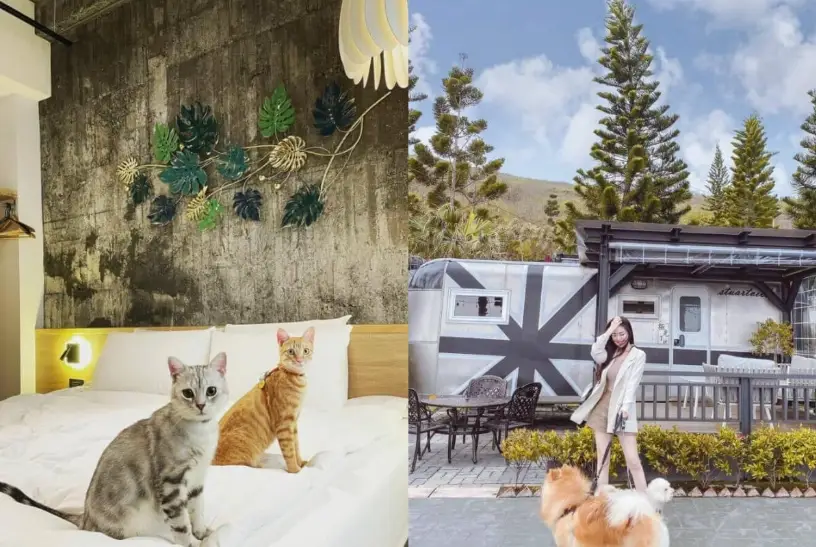 屏東帶狗住宿 屏東帶狗住宿