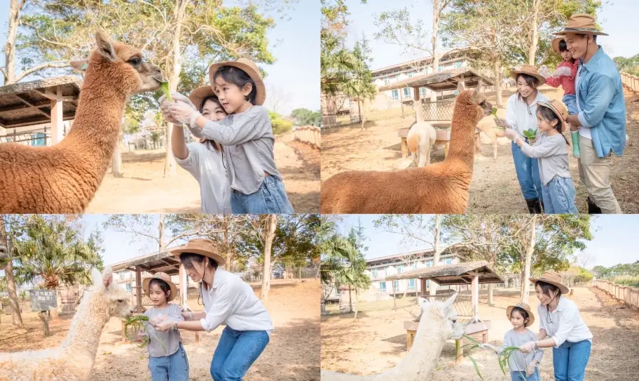 六福莊動物餵食體驗
