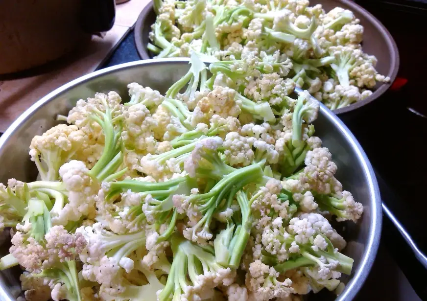 花椰菜冷藏 花椰菜冷藏
