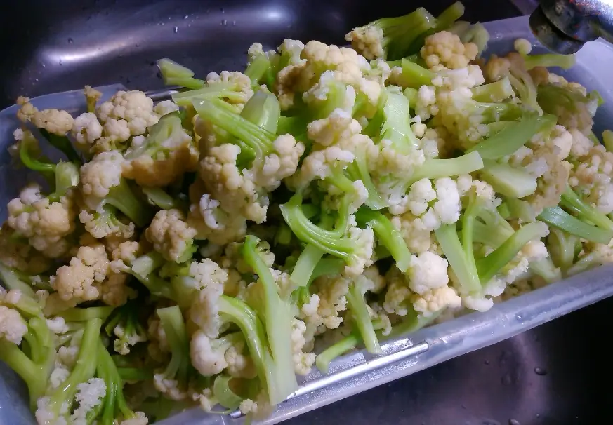 花椰菜冷凍 花椰菜冷凍