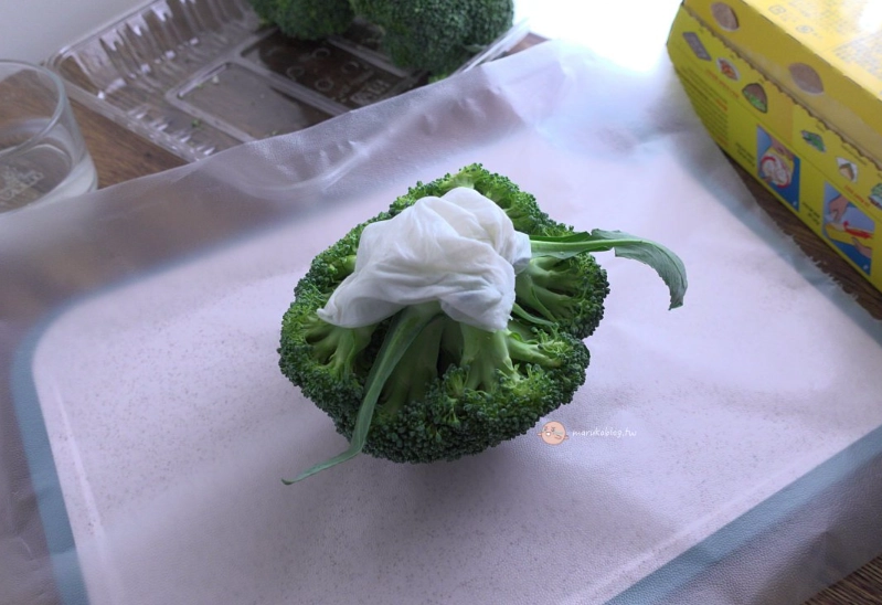 花椰菜冷藏 花椰菜冷藏