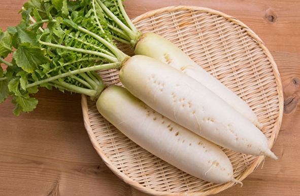 白蘿蔔料理