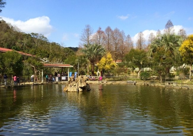 獅頭庄水農場