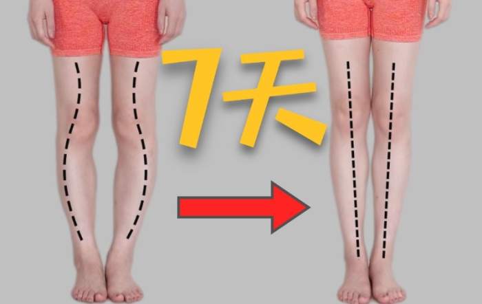 消除大腿脂肪 消除大腿脂肪