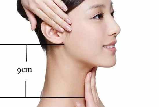 脖子粗標準 脖子粗標準