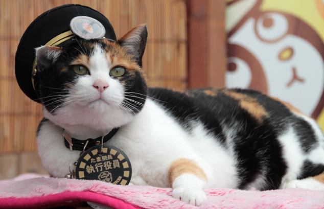 和歌山親子旅遊