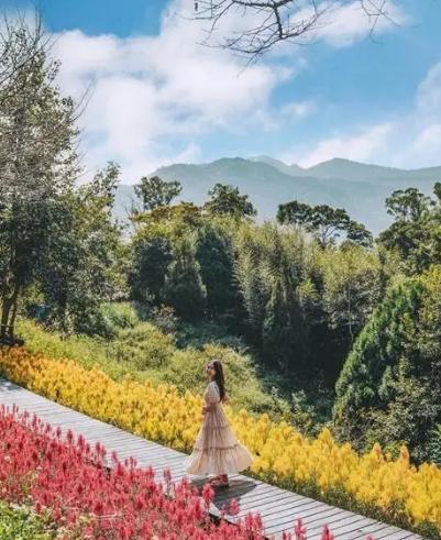 新竹咖啡廳景觀 新竹咖啡廳景觀