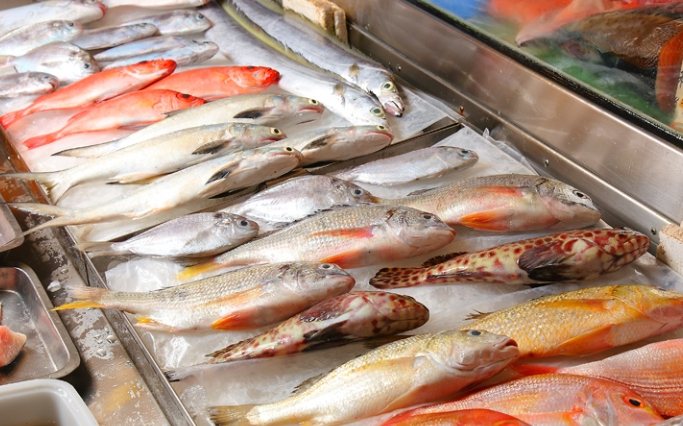 台灣常見海魚 台灣常見海魚