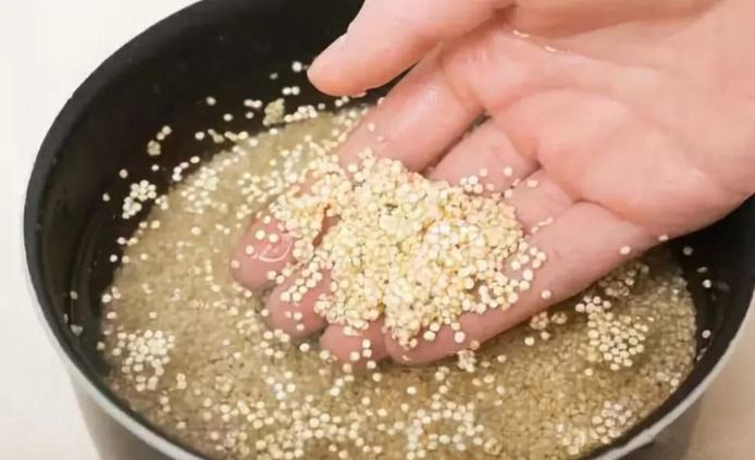 藜麦可以每天吃吗