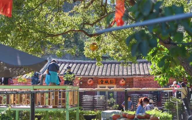 新埔景點推薦 新埔景點推薦