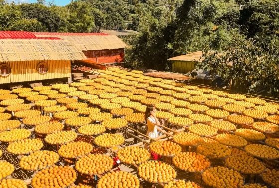 新竹農場一日遊 新竹農場一日遊