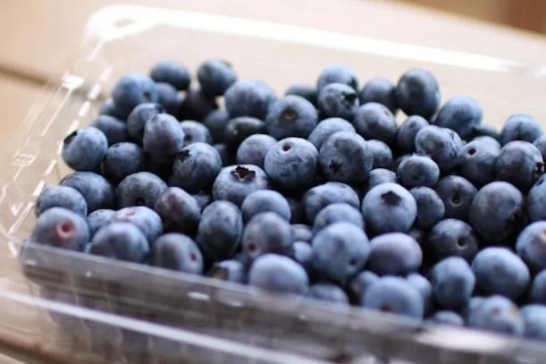 藍莓 保存方法