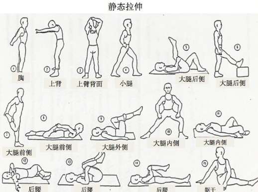 柔軟度訓練 柔軟度訓練