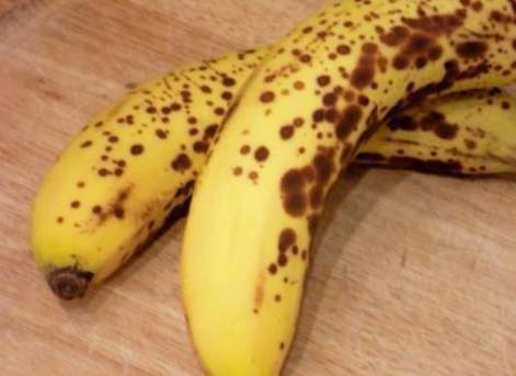 香蕉害蟲症狀 香蕉害蟲症狀