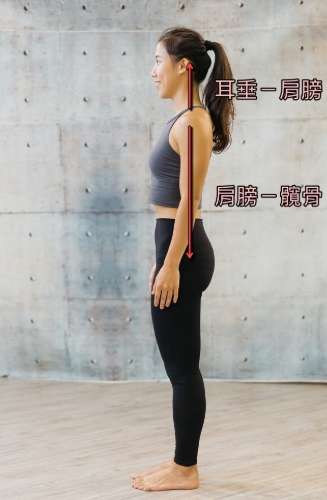 姿勢不良改善 姿勢不良改善