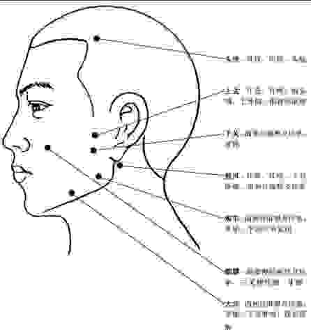 頭部穴道按摩 頭部穴道按摩