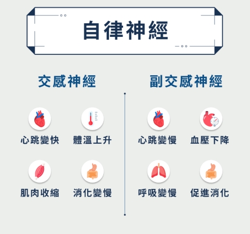 自律神經失調症狀