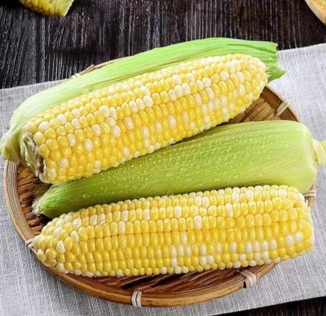 玉米筍冷凍方法 玉米筍冷凍方法