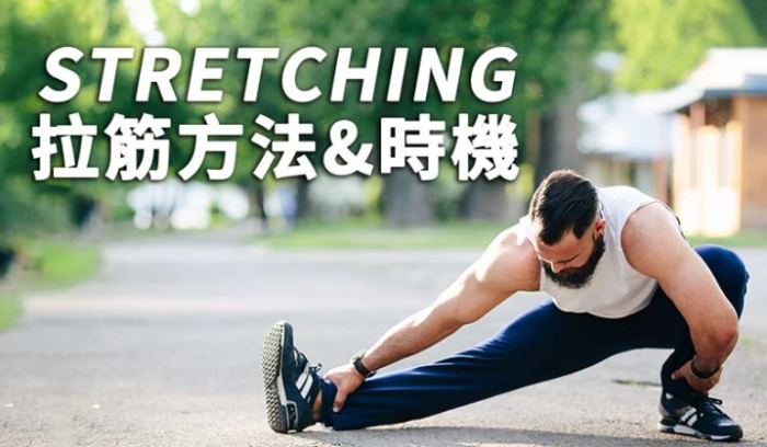 伸展運動 伸展運動