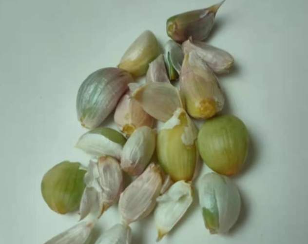 蒜頭保存技巧