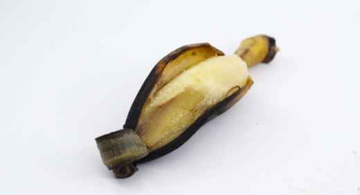 香蕉害蟲症狀 香蕉害蟲症狀