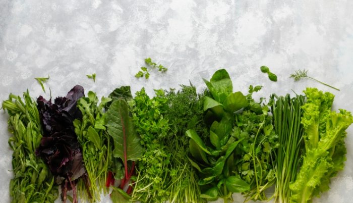 葉菜類保存方法 葉菜類保存方法