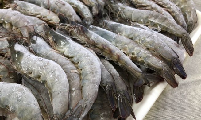 蝦子冷藏期限 蝦子冷藏期限