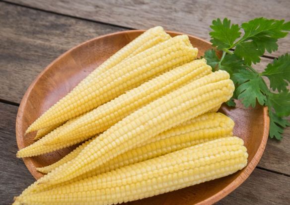 生玉米筍營養