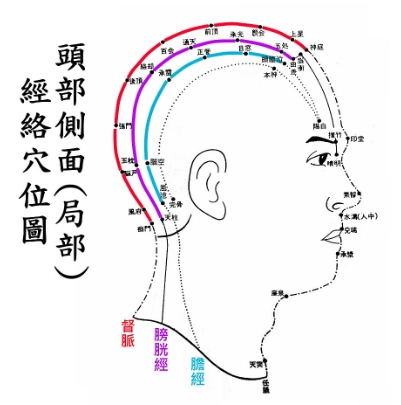 頭部按摩穴位