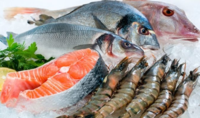 魚冷凍保存時間