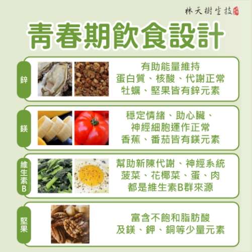 青少年營養食譜