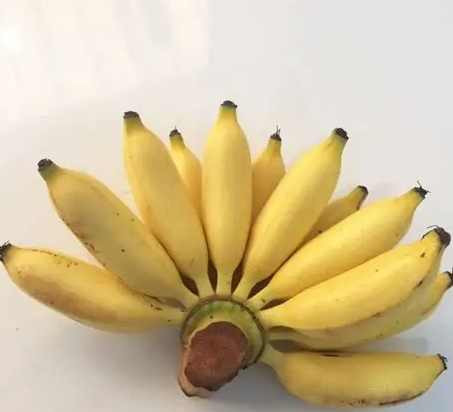 香蕉健康吃法 香蕉健康吃法