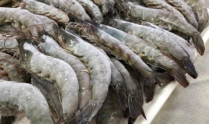 冷凍蝦保存時間