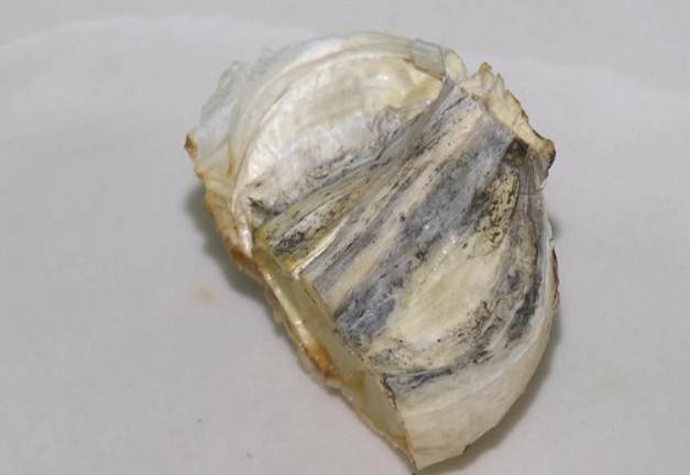 蒜頭髮霉安全嗎