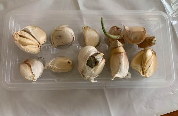 蒜頭保存方法 蒜頭保存方法