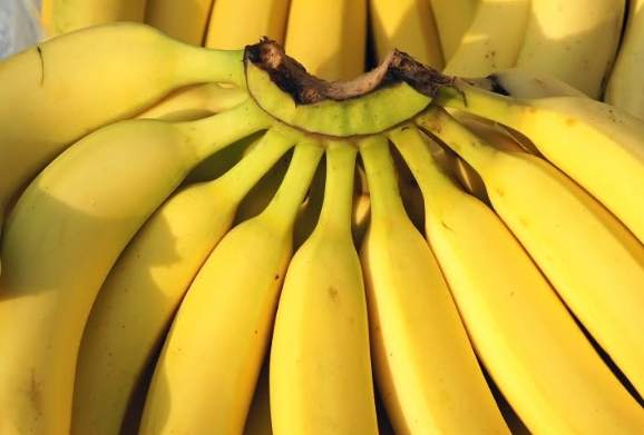 黑點香蕉食用安全 黑點香蕉食用安全