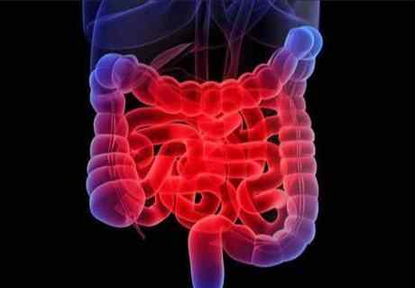 酒后腸胃不適 酒后腸胃不適