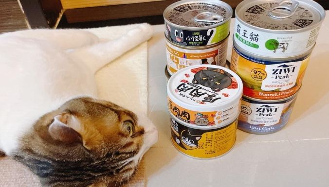 貓罐頭再利用 貓罐頭再利用