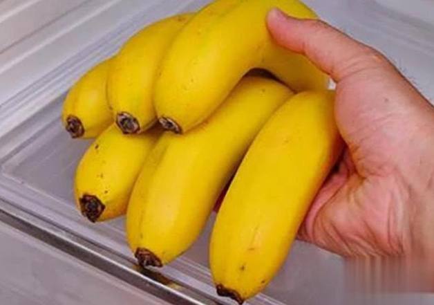 香蕉冷藏危害 香蕉冷藏危害