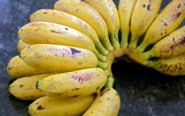 香蕉保存方法 香蕉保存方法