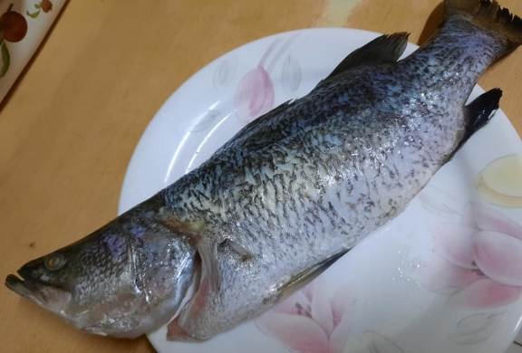 海鲜储存秘诀 海鲜储存秘诀