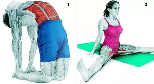 拉筋十式常見問題