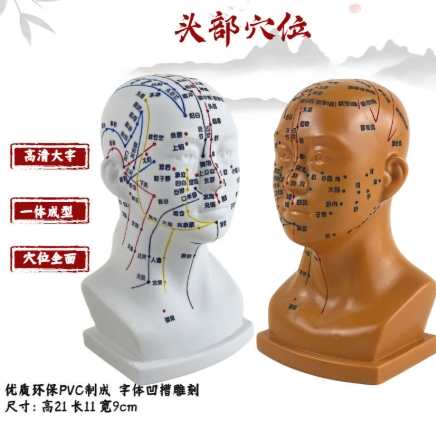 頭部穴道按摩 頭部穴道按摩