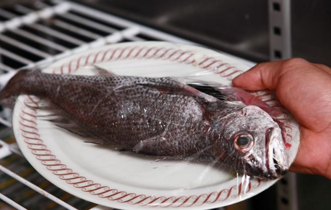 冷凍魚可以放多久