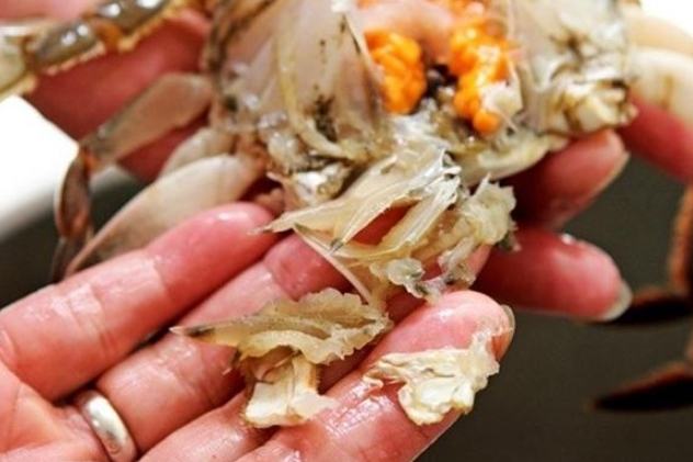 活螃蟹處理方法 活螃蟹處理方法