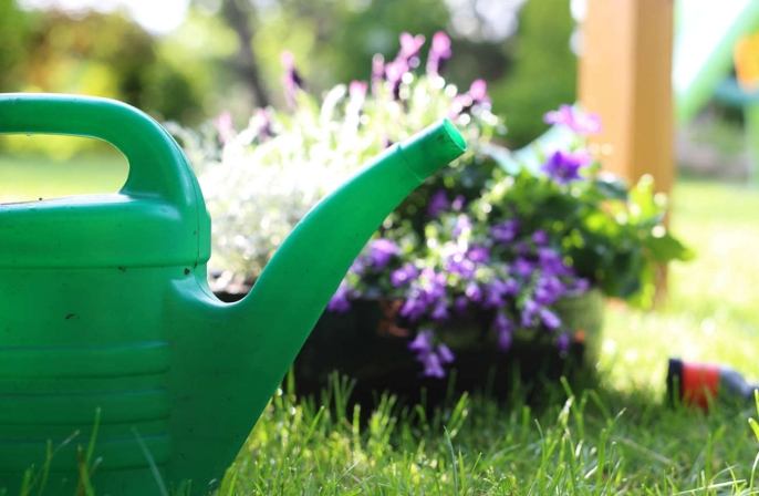 過期牛奶園藝 過期牛奶園藝